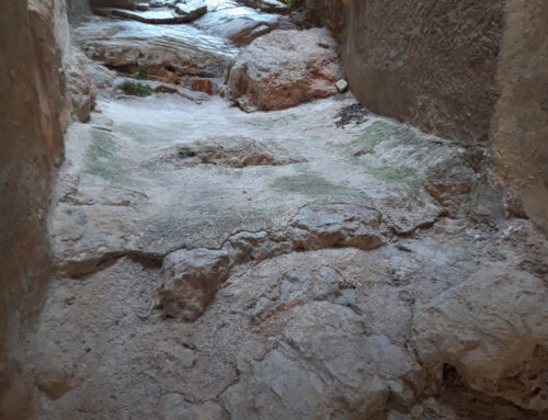 Recuperar mobilitat, elasticitat i calma